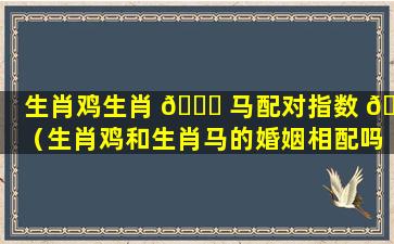 生肖鸡生肖 💐 马配对指数 🐳 （生肖鸡和生肖马的婚姻相配吗）